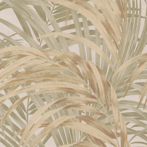 Boutique Congo Tropical Palm Leaf Sage & Gold Wallpaper by Graham & Brown 145705