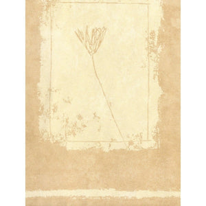 Sketched Flowers Beige / Cream Border by Crown 70783