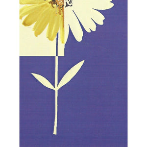 Daisy Floral Blue Border by Crown 50014