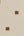 Bahamas-Leopard-Print-Motif-Taupe-Brown-Wallpaper-by-AS-Creation-94164-4
