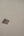 Bahamas-Leopard-Print-Motif-Taupe-Brown-Wallpaper-by-AS-Creation-94164-4