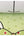 Twinkles-Cats-Green-Wallpaper-by-BN-International-400102