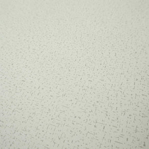 Seminato-Silver-Heavyweight-Wallpaper-by-Casa-Flair-Decor