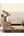 Hoopla-Polka-Spots-Wallpaper-Cream-Multi-by-Decorline-DL30751