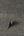 Milano-Hessian-Texture-Charcoal-Wallpaper-by-Fine-Decor-M95615