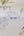Kingfisher-Cream-Plum-Wallpaper-from-K2-Living-by-Holden-11562