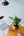 Anaglypta-TUFFSTUFF-TEXTURE-Paste-The-Wall-Woodchip-Wallpaper