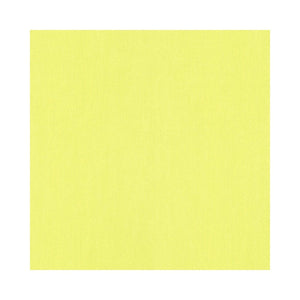 Kids-Party-Plain-Lime-Green-by-AS-Creation-8833-84