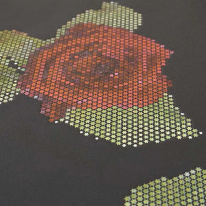 Lars-Contzen-Rendez-Vous-Roses-Black-Wallpaper-by-AS-Creation-94407-3