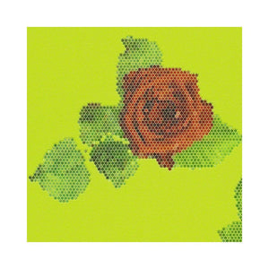 Lars-Contzen-Rendez-Vous-Roses-Lime-Wallpaper-by-AS-Creation-94407-2