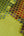 Lars-Contzen-Rendez-Vous-Roses-Lime-Wallpaper-by-AS-Creation-94407-2