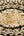 Versace-Home-Heritage-Black-Gold-Luxury-70cm-Wallpaper-by-AS-Creation-37055-3