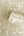 Giovanna-Trail-Wallpaper-Beige-by-Belgravia-Decor-GB-4812