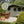 Gentle Willow Garden Colours Paint - Johnstone's Woodcare