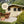 Natural Vanilla Garden Colours Paint - Johnstone's Woodcare