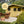 Soft Buttercup Garden Colours Paint - Johnstone's Woodcare