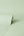 Synergy-Texture-Green-Wallpaper-by-Crown-M1741