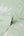 Synergy-Floral-Green-Wallpaper-by-Crown-M1739