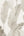 Lea-Bali-Banana-Palm-Leaf-Cream-Beige-Wallpaper-by-AS-Creation-39218-5
