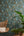 Lea-Bali-Banana-Palm-Leaf-Petrol-Green-Wallpaper-by-AS-Creation-39218-3