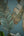 Lea-Bali-Banana-Palm-Leaf-Petrol-Green-Wallpaper-by-AS-Creation-39218-3