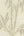 Mandalay-Cream-Bamboo-Wallpaper-by-Rasch-529142