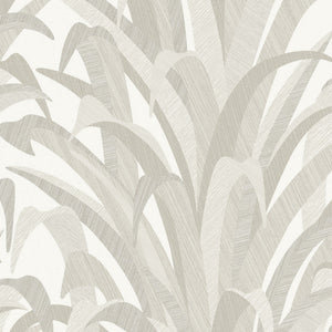 Cumaru-Tropical-Palm-Grey-Wallpaper-by-Grandeco-Boutique-CU3004