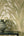 Cumaru-Tropical-Palm-Green-Wallpaper-by-Grandeco-Boutique-CU3010