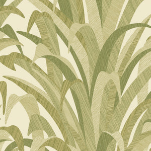 Cumaru-Tropical-Palm-Green-Wallpaper-by-Grandeco-Boutique-CU3010