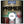 Any Surface Primer White  - Johnstone's Speciality Paint