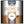 All-Purpose Primer White - Johnstone's Speciality Paint