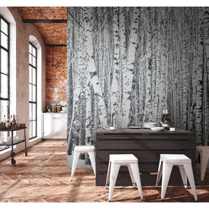 Silver-Birch-Mural-from-Metropolitan-Stories-The-Wall-by-AS-Creation-382591