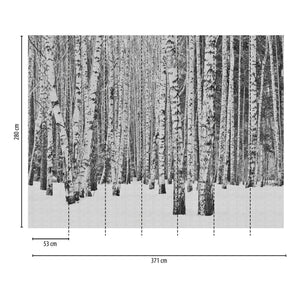 Silver-Birch-Mural-from-Metropolitan-Stories-The-Wall-by-AS-Creation-382591