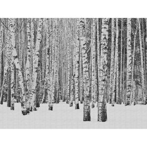 Silver-Birch-Mural-from-Metropolitan-Stories-The-Wall-by-AS-Creation-382591