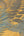 Famous-Garden-Tropical-Fern-Yellow-Wallpaper-by-AS-Creation-39347-2