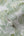 Famous-Garden-Tropical-Jungle-Green-Wallpaper-by-AS-Creation-39355-4