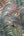 Famous-Garden-Tropical-Fern-Multi-Wallpaper-by-AS-Creation-39347-1