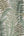 Famous-Garden-Tropical-Fern-Beige-Green-Wallpaper-by-AS-Creation-39347-4