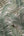 Famous-Garden-Tropical-Fern-Beige-Green-Wallpaper-by-AS-Creation-39347-4