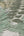 Famous-Garden-Tropical-Fern-Beige-Green-Wallpaper-by-AS-Creation-39347-4