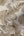 Famous-Garden-Tropical-Jungle-Beige-Wallpaper-by-AS-Creation-39355-1