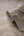 Stories-Of-Life-Quartz-Texture-Beige-Gold-Wallpaper-by-AS-Creation-39659-2