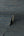 Fusion-Grasscloth-Plain-Texture-Wallpaper-Navy-by-Crown-M1769