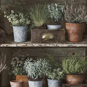 Facade-Herb-Pots-Wallpaper-from-Wall-Fashion-by-Grandeco-FC3102