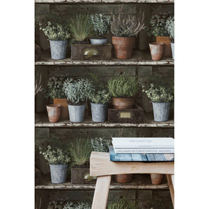 Facade-Herb-Pots-Wallpaper-from-Wall-Fashion-by-Grandeco-FC3102