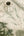 Carmella-Floral-Wallpaper-Green-by-Belgravia-Decor-GB-7152