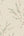 Carmella-Floral-Wallpaper-Green-by-Belgravia-Decor-GB-7152