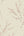 Carmella-Floral-Wallpaper-Pink-by-Belgravia-Decor-GB-7153