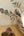 Carmella-Texture-Wallpaper-Beige-by-Belgravia-Decor-GB-7155