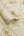 Sofia-Sprig-Trail-Wallpaper-Gold-by-Vymura-M95672